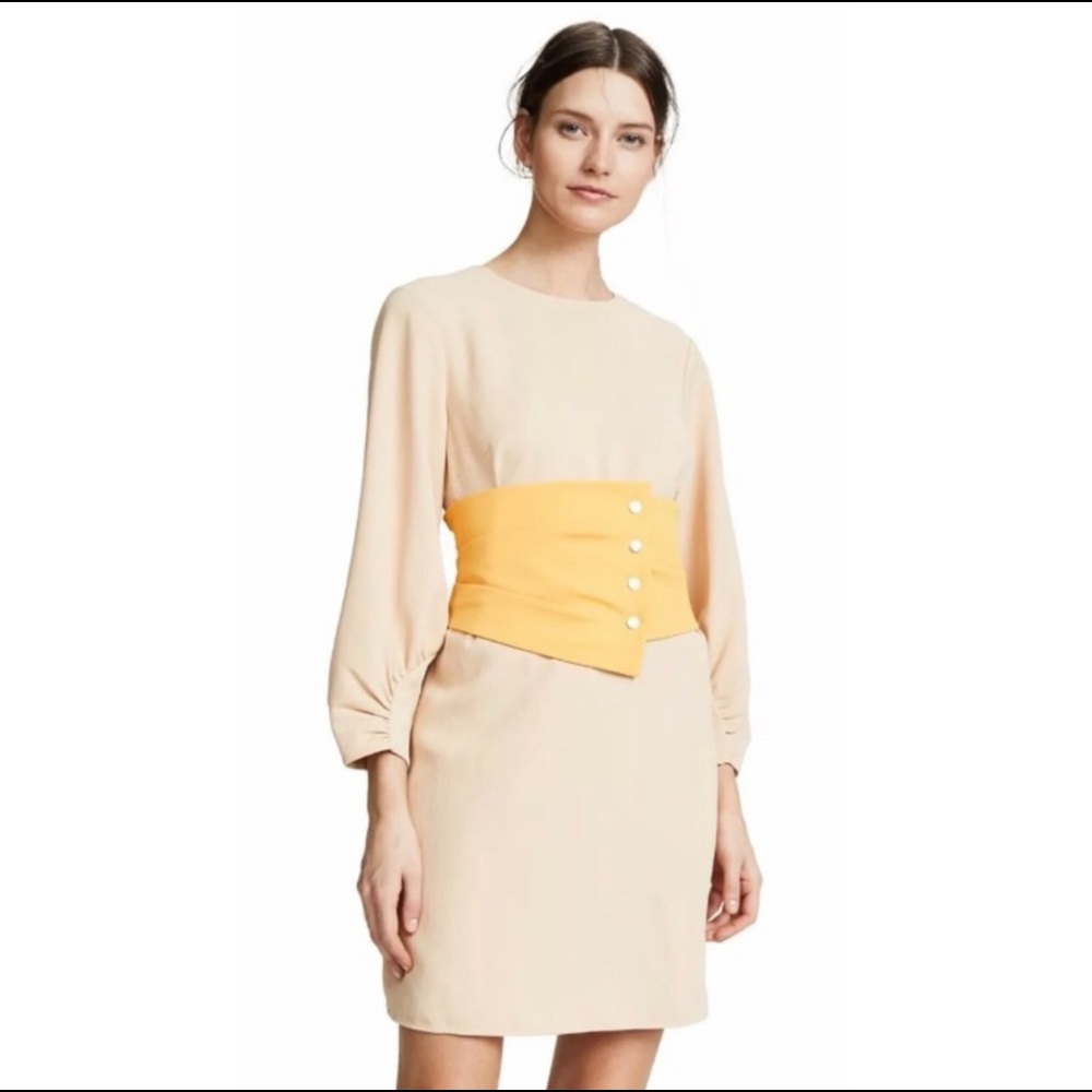 Tibi Sheared Sleeve Corset Dress